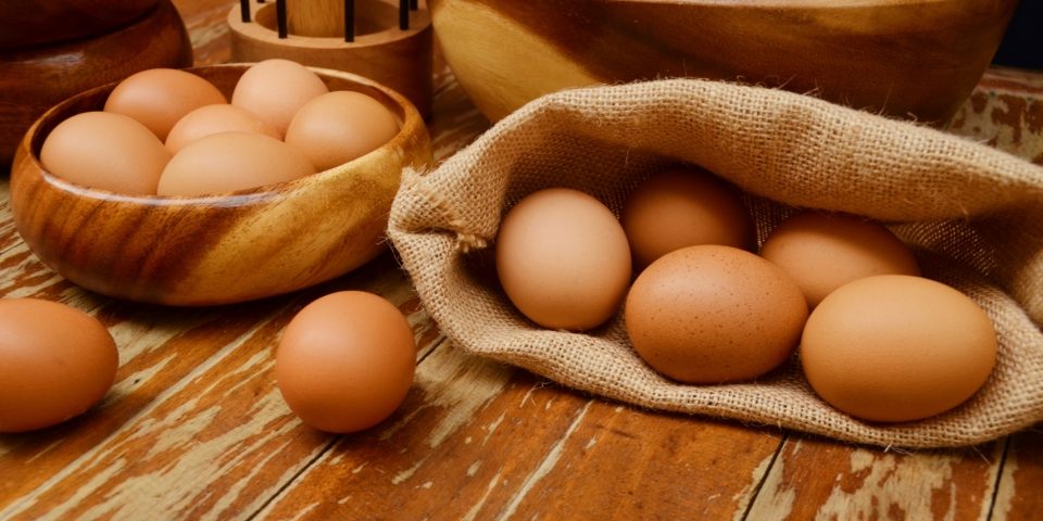 Fehérjebevitel fontossága