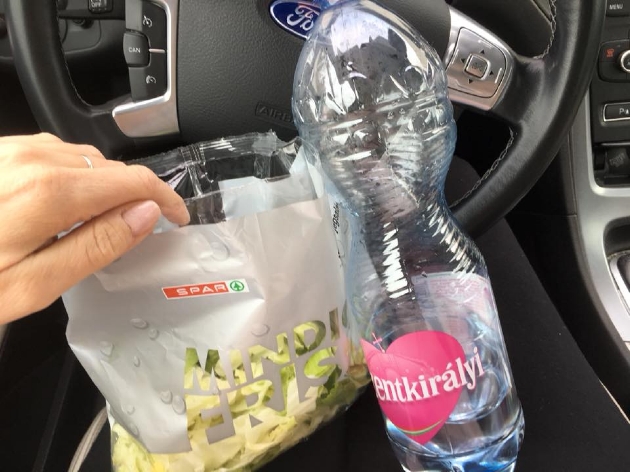 Toman Diet hatékonysága