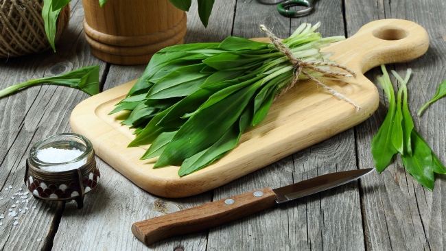 medvehagyma fogyasztása