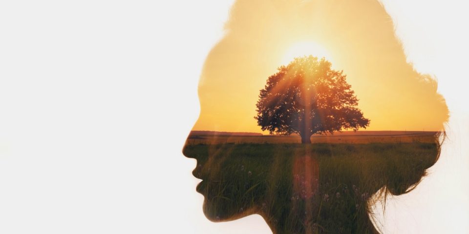 Az evés és az érzelmek