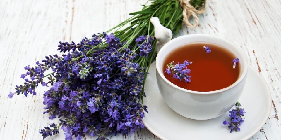 Alvást segítő gyógyteák