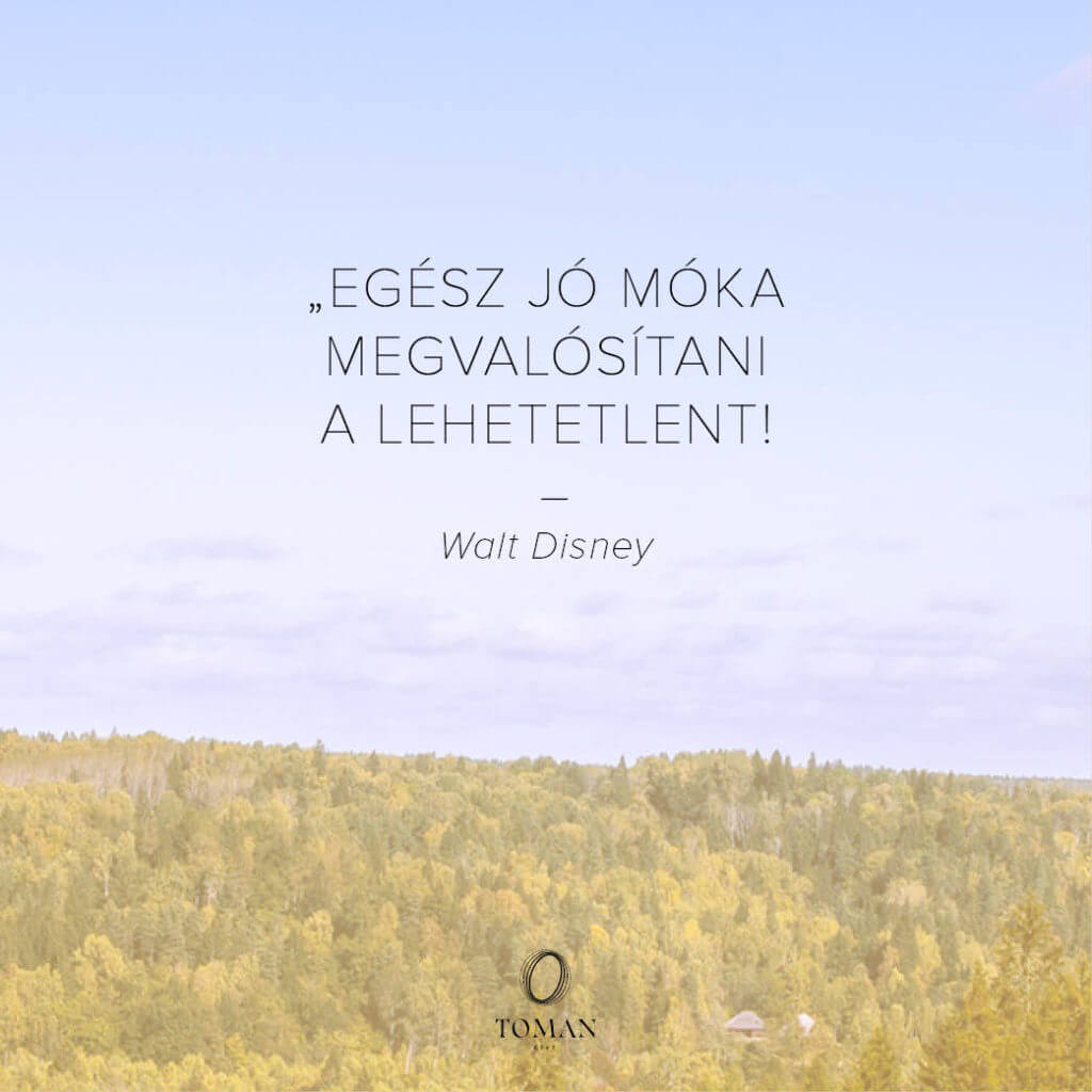 Egész jó móka megvalósítani a lehetetlent! - Walt Disney