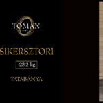 sikersztori Tatabánya